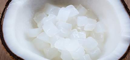 Nata de coco